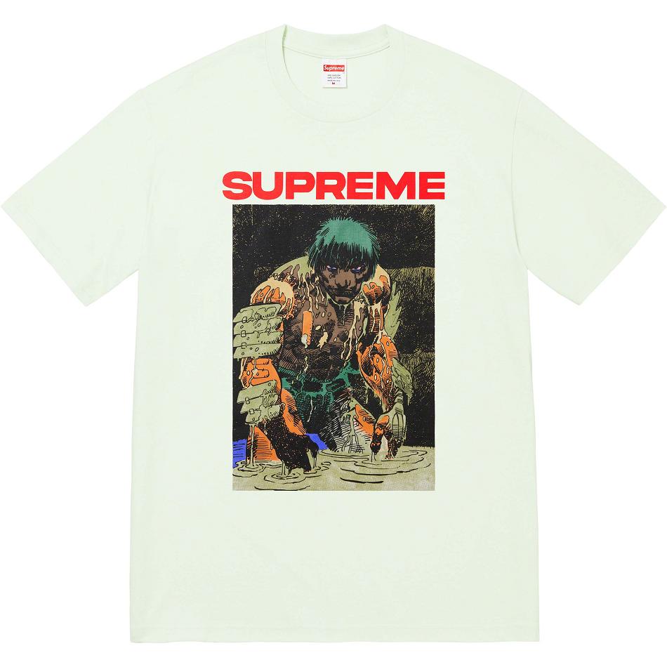 Supreme Ronin Tee T Shirts Mintgrønne | DK353EX