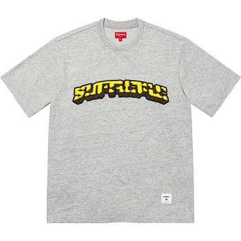 Supreme Block Arc S/S Top Trøjer Grå | DK265LH